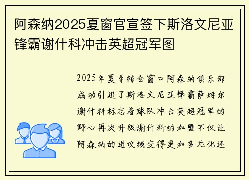 阿森纳2025夏窗官宣签下斯洛文尼亚锋霸谢什科冲击英超冠军图